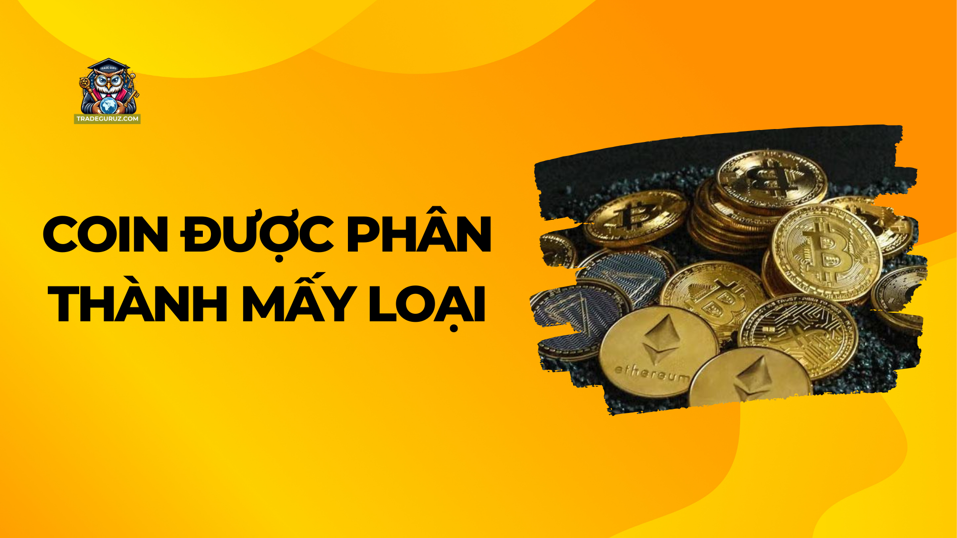 Coin được phân thành nhiều loại